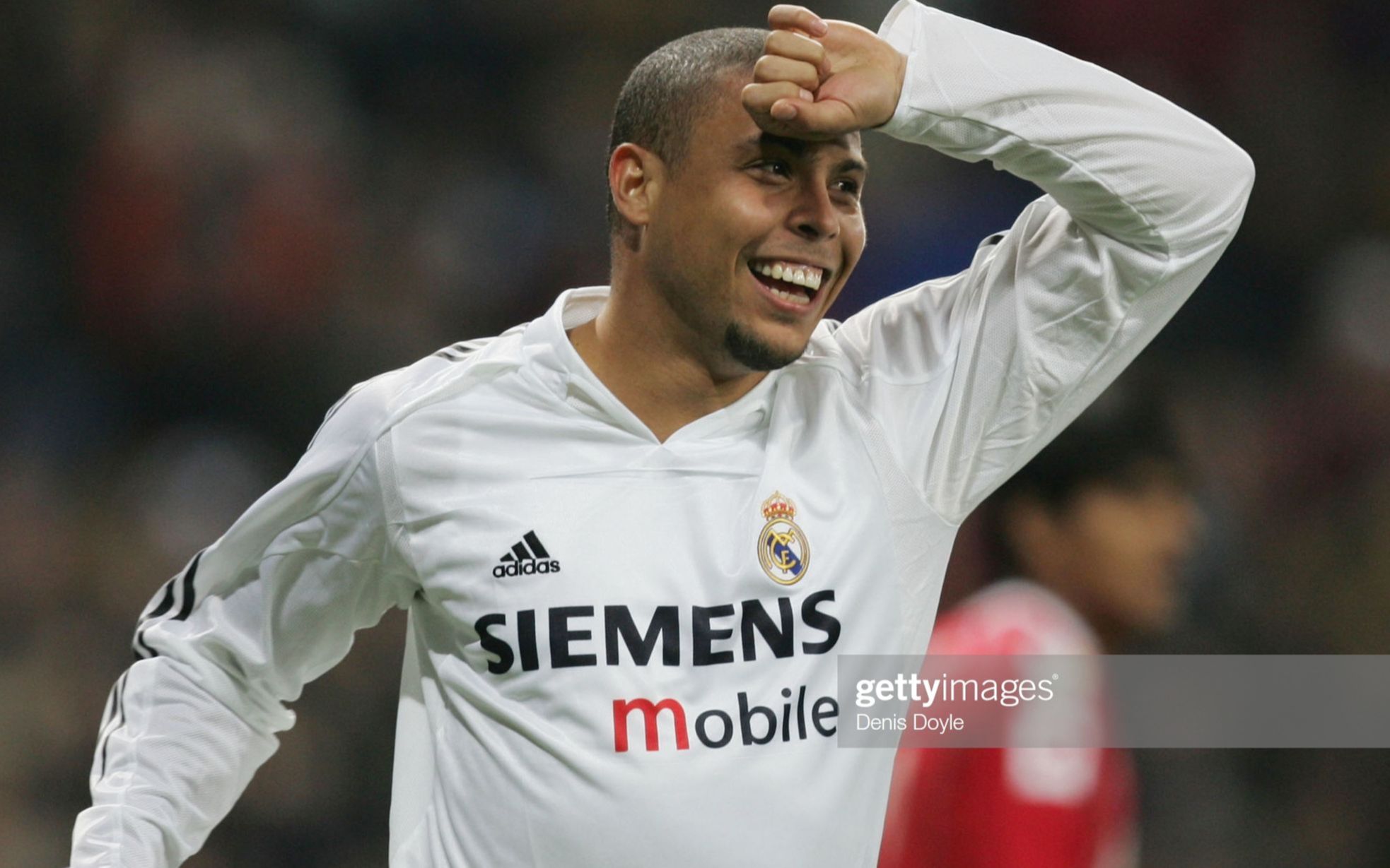 的软协作 的软协作